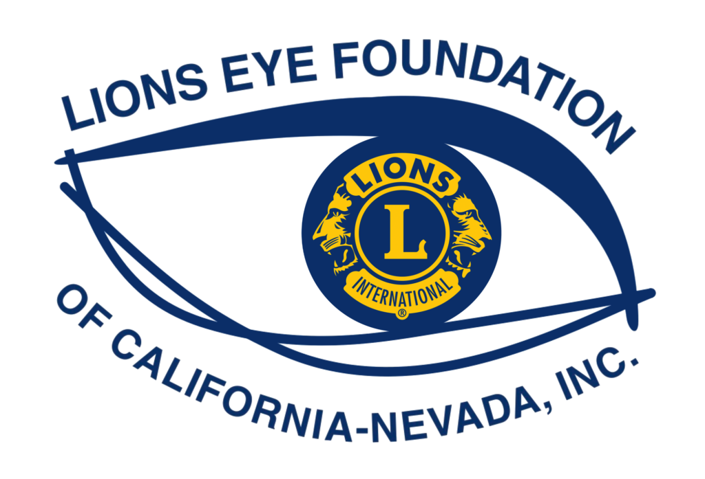 THE LIONS EYE FOUNDATION